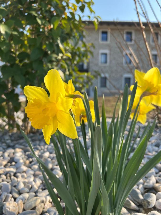 Atmosfere Charme & Country Hotel Borgo San Mauro Eksteriør billede